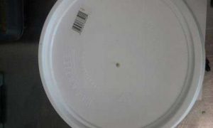That little brown dot is the tiny seed on the seed container lid!